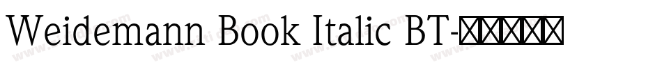 Weidemann Book Italic BT字体转换